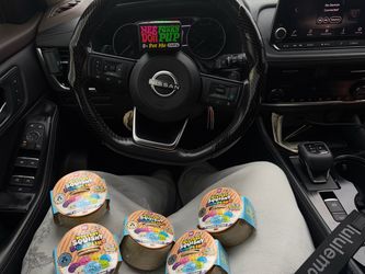 Mystery squishy Dumplings and NEEDOH pup, ALL REAL FROM WALMART