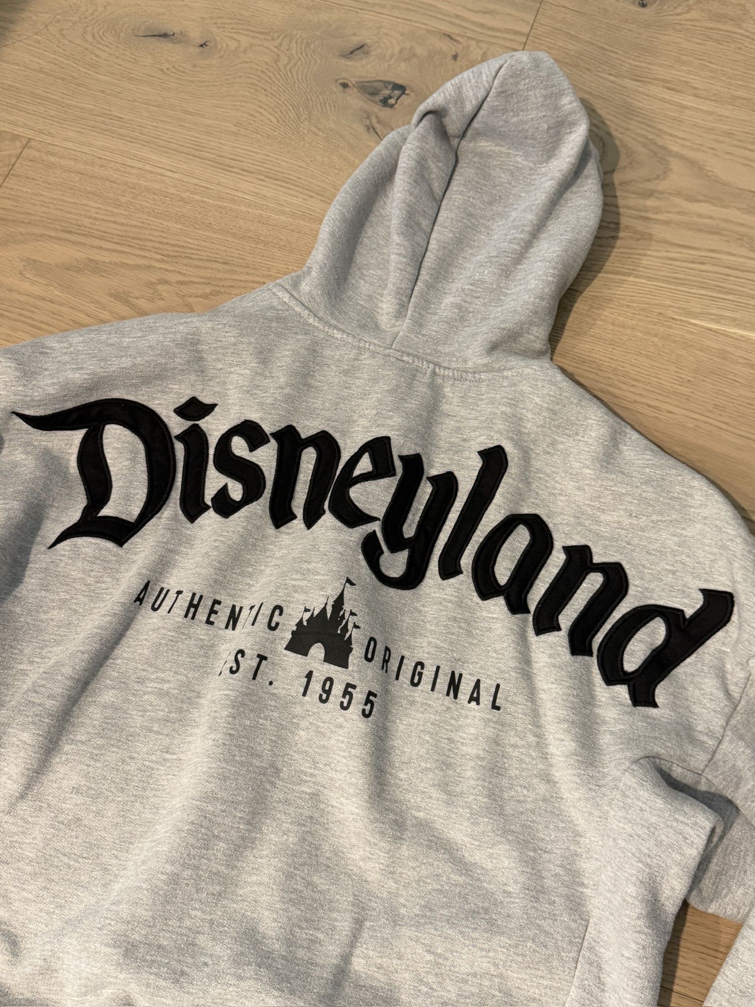 Disneyland Hoodie, M, Clean, Rarely Worn, Working Zipper
