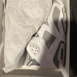 Jordan 6 “Wolf Grey”