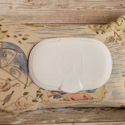 Winnie the Pooh Members Mark/Target Wipes Cover 
