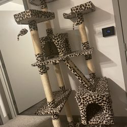 Very Tall Cat Tower!