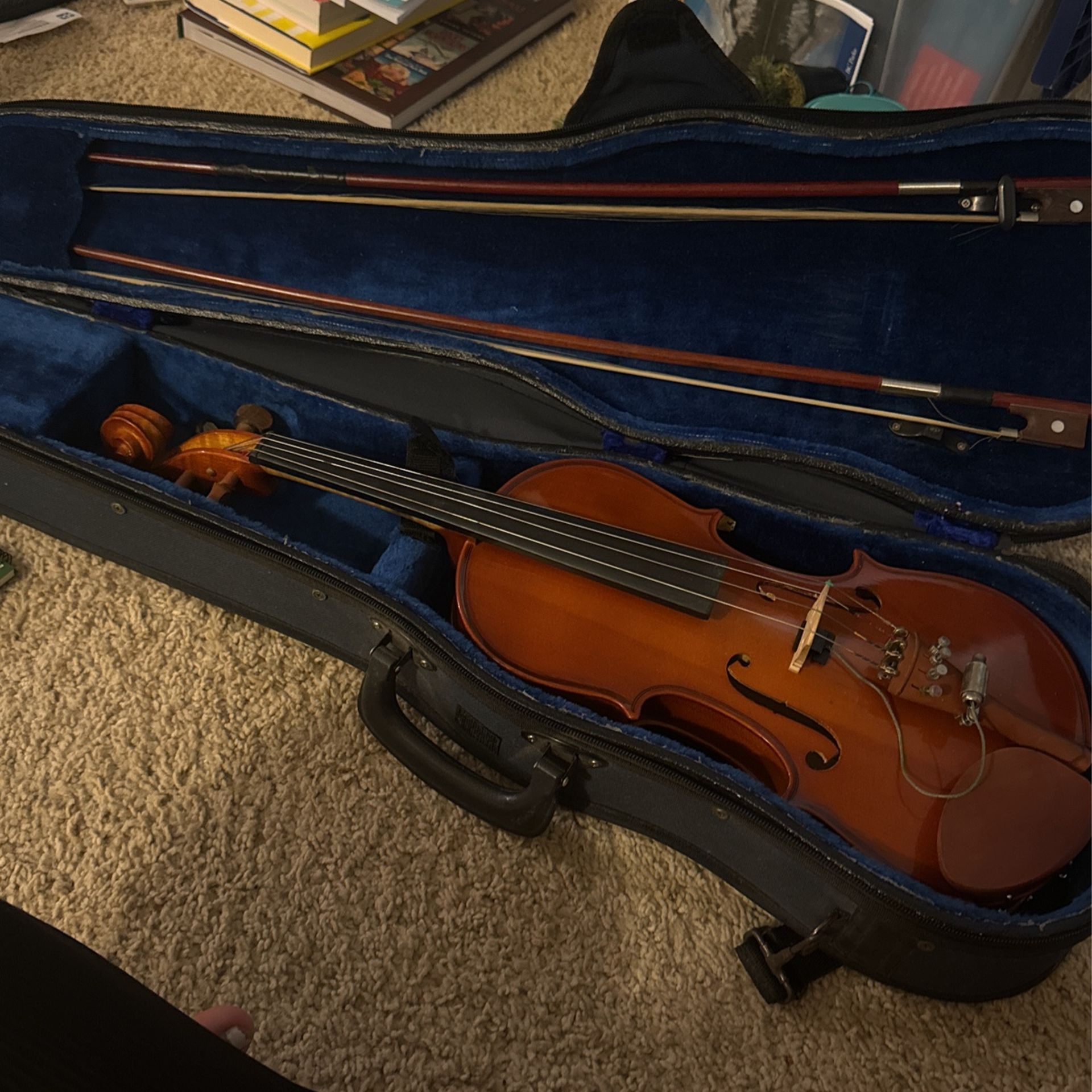 Violin
