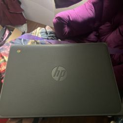 HP Chromebook 