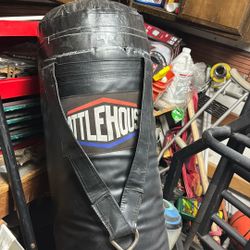 Punching Bag 