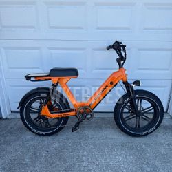 Genuine Electric Bike 750W