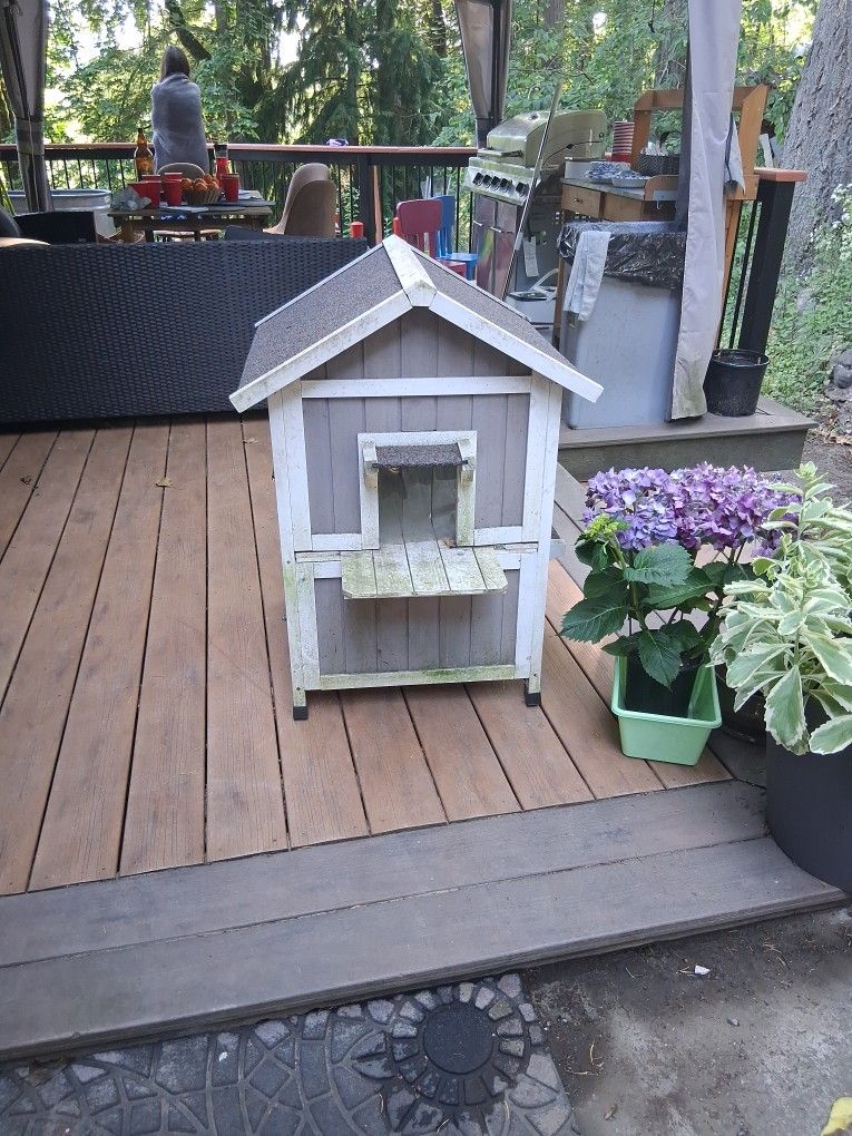 Cat House