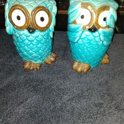 Owls