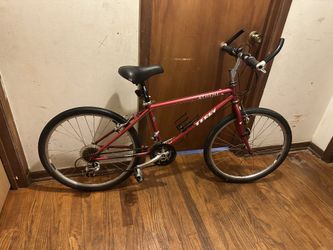 Terry bike 24”