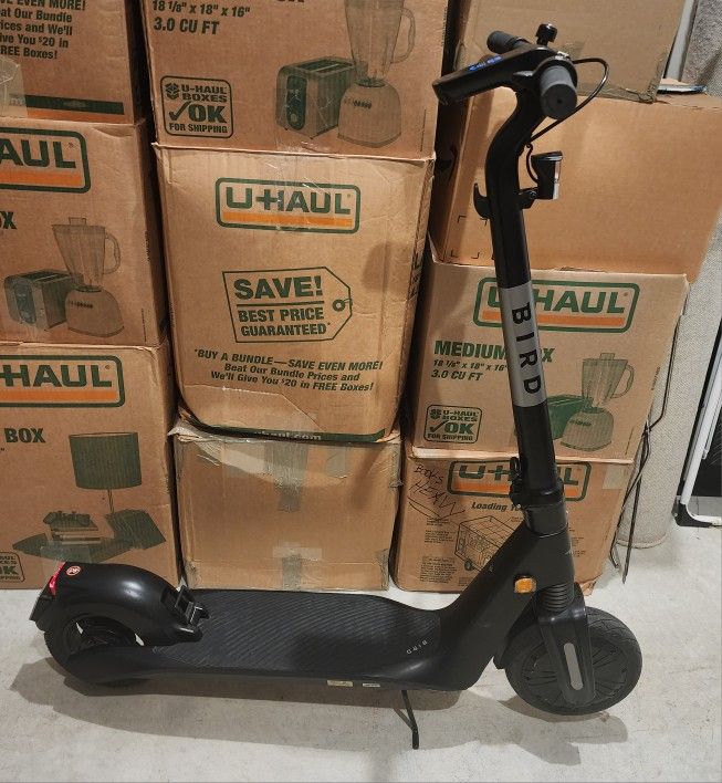 Bird Flex Scooter