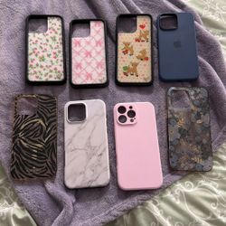 iPhone 16 Pro Max Cases 