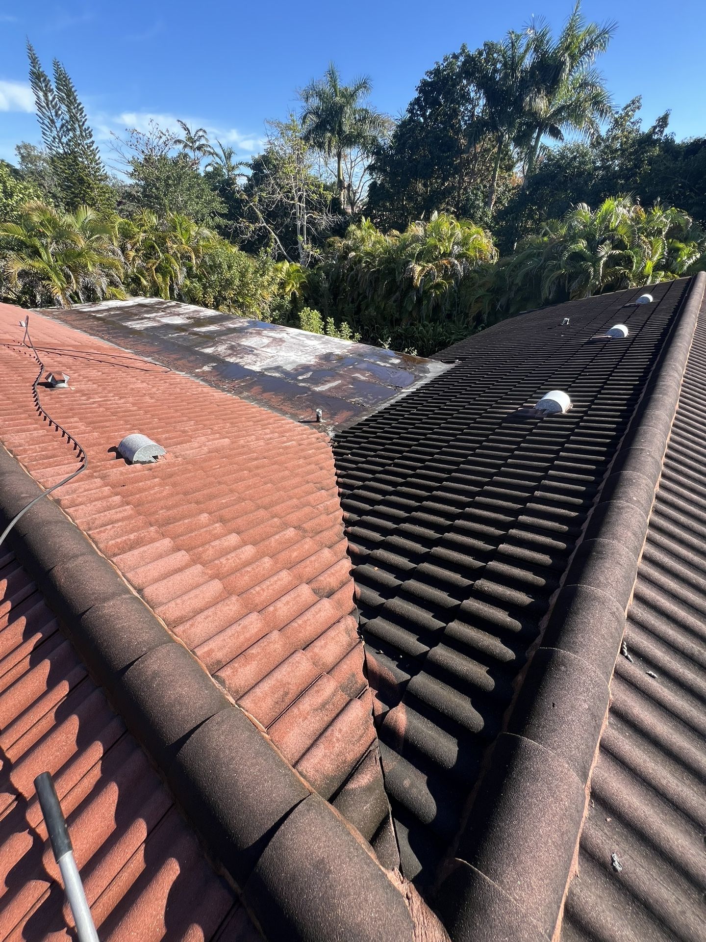 Pressure Washer, Pressure Cleaning