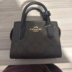 Coach Mini 