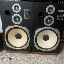 Stereo Speaker With Receiver 