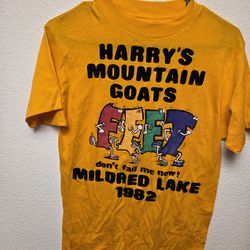 Vintage 80's  Round T-Shirt: Single Stitch Hanes,  Medium