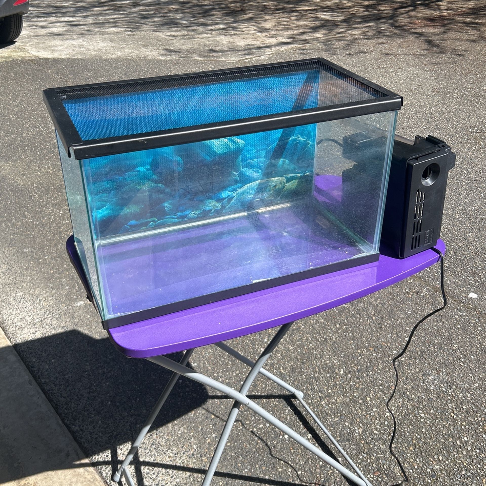 Fish Tanks And Water Filtration