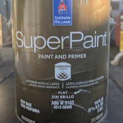 Super Paint Exterior Flat