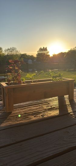 Cedar planter boxes