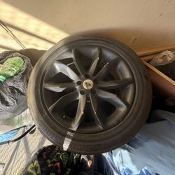 Rims 