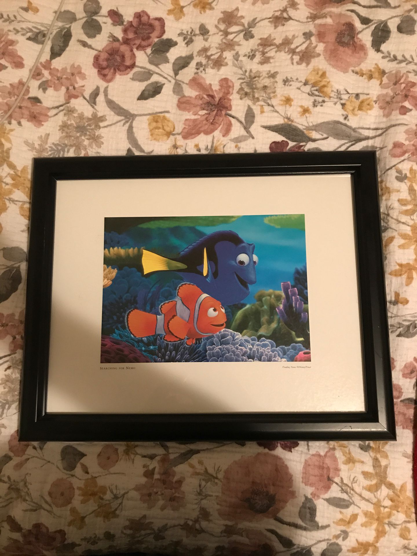 Finding Nemo movie frame