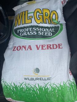 Grass seeds