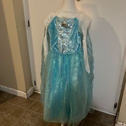 Disney  Princess   Elsa  Dress  Halloween  Costume 