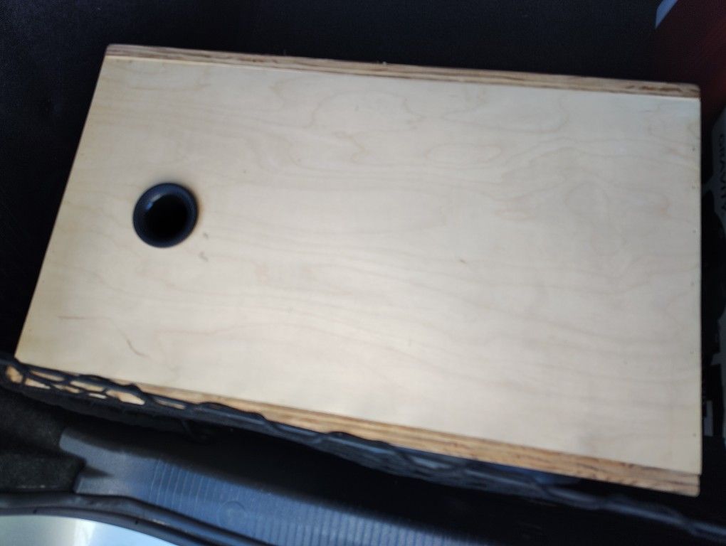 10 Inch Subwoofer 
