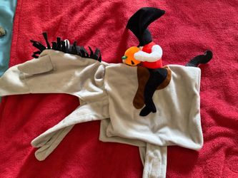 Dog costume