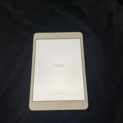 First Gen iPad Mini Factory Reset 
