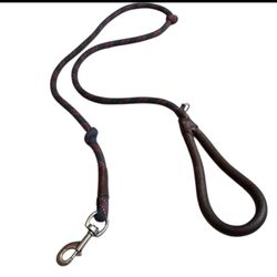 Boston Red Sox Dog Leash 