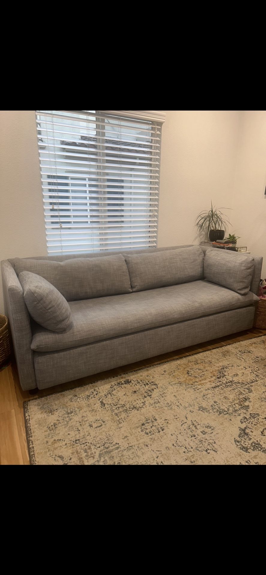 West Elm Shelter Sleeper Sofa- Pull out bed Queen
