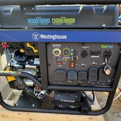 WGen14500DF Generator - Dual Fuel