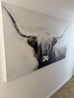 Oversized Highland Cow Canvas Wall Art