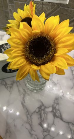 Tiara Exclusive Crystal Vase 