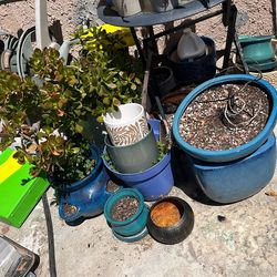 Pots and plants