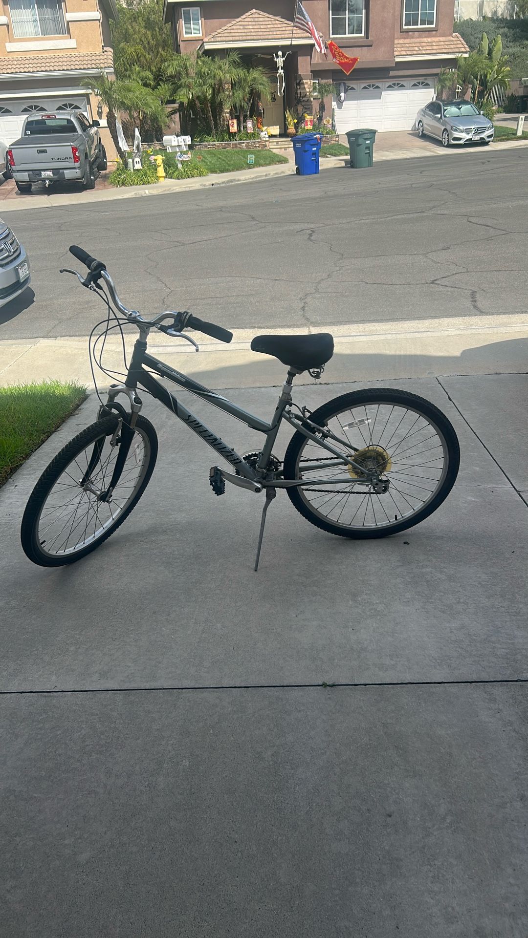 Specialized WS Bike