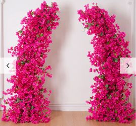 Bougambilia floral