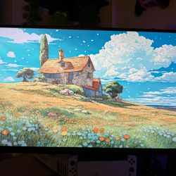 27” LG Nano IPS Monitor