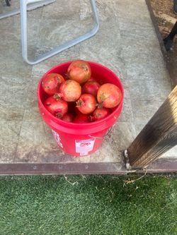 Pomegranates