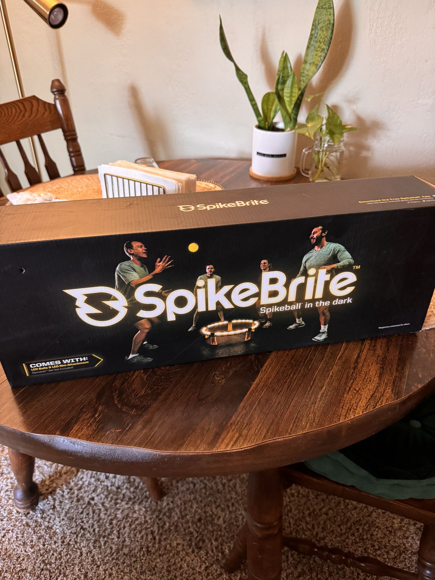 Spike Ball New In Box