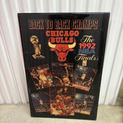 Chicago Bulls Champions Poster Wall Hanging 