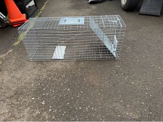 Animal Trap