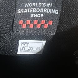 AVE Pro Skate VANS
