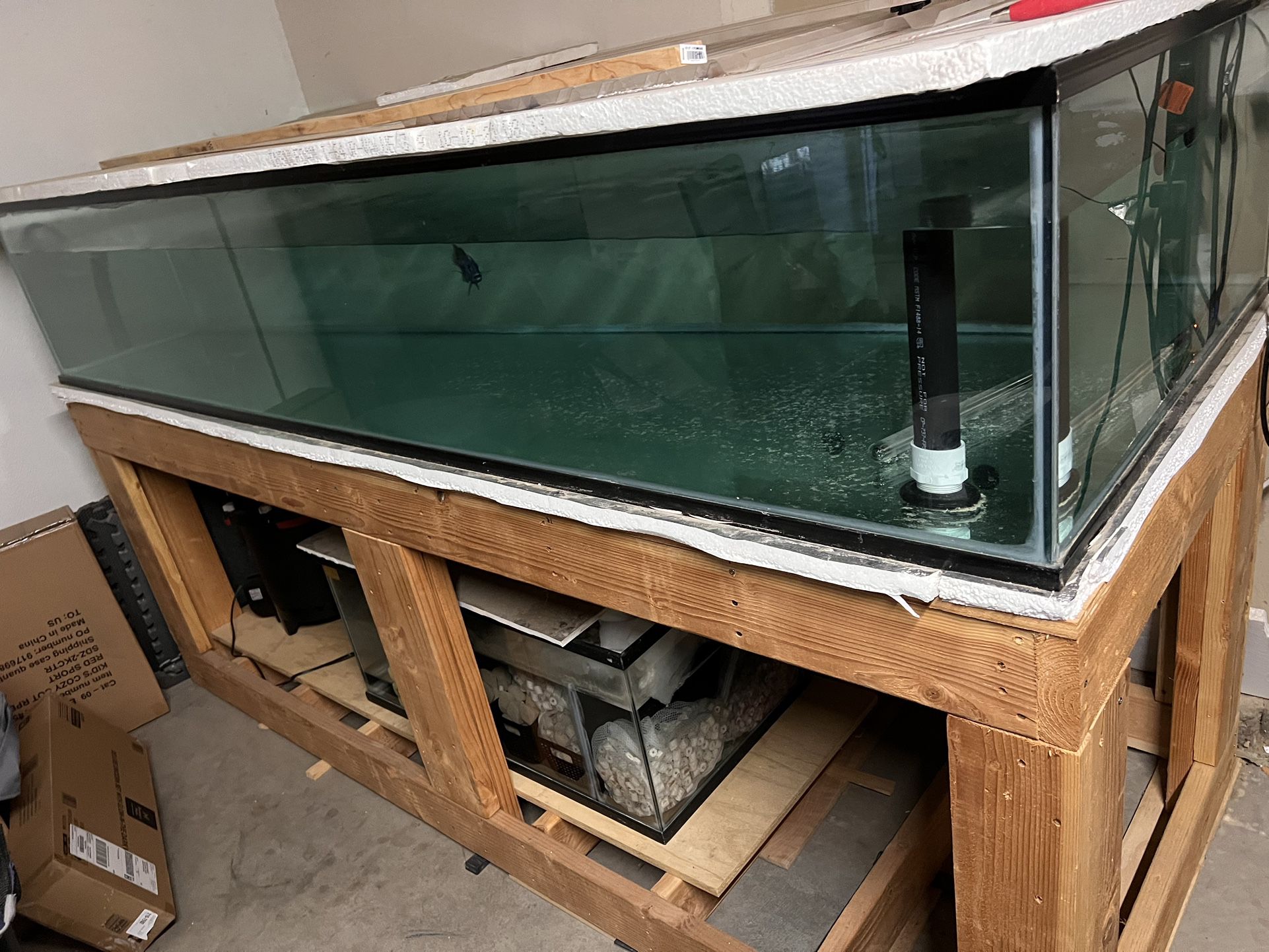 260 gallon Fish tank