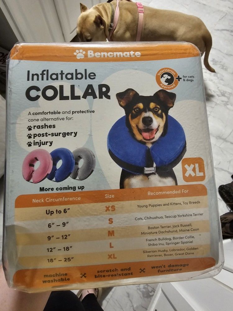Inflatable Dog Collar