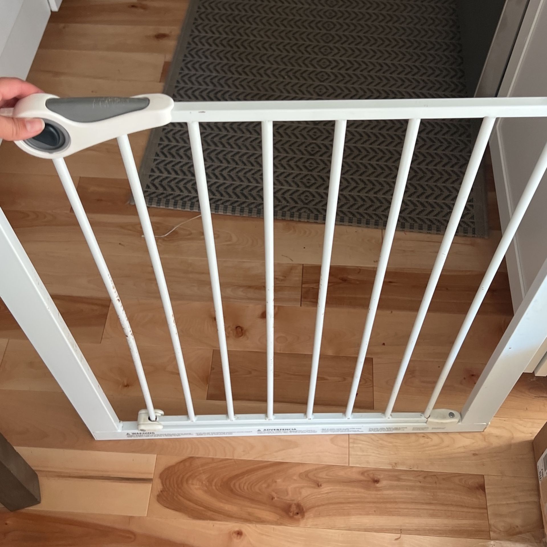 Dog Door