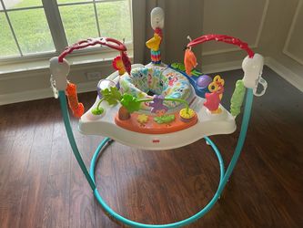 Fisher Price jumper (moving in two weeks