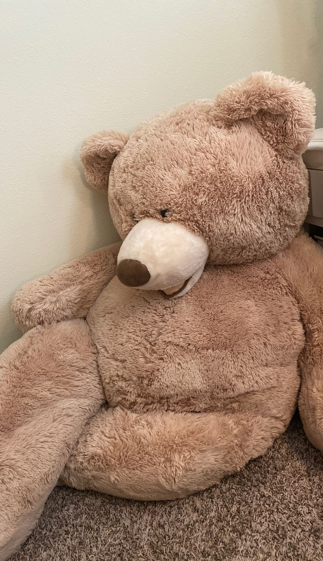 Big bear (stuffed animal)