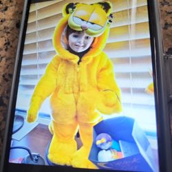 Garfield Odie and Garfield porcelain dolls set.Of two perfect beneficial For. 2 hundred dollars