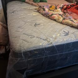Queen Size Bed Mattress And Frame 