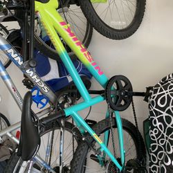 Female 20” Nishiki Bike